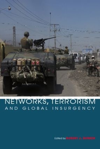 Бумажная книга «Networks, Terrorism and Global Insurgency» - фото №1