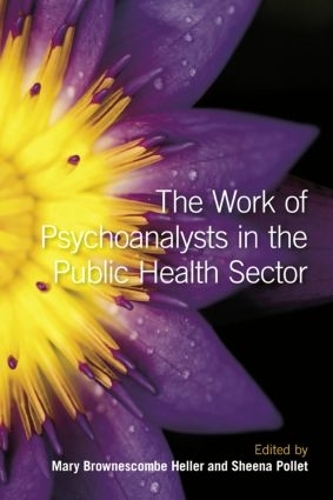 Бумажная книга «The Work of Psychoanalysts in the Public Health Sector» - фото №1