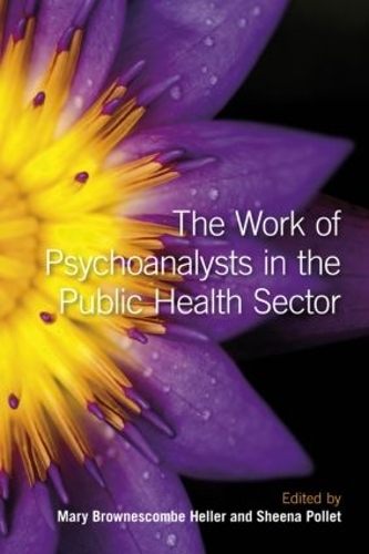 Бумажная книга «The Work of Psychoanalysts in the Public Health Sector» - фото №1
