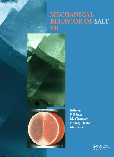 Бумажная книга «Mechanical Behaviour of Salt VII» - фото №1