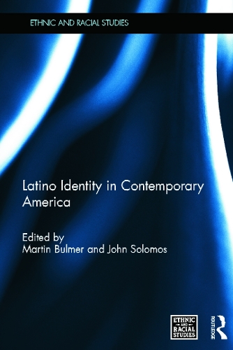 Бумажная книга «Latino Identity in Contemporary America» - фото №1