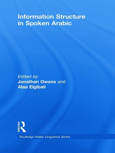 Бумажная книга «Information Structure in Spoken Arabic» - фото №1