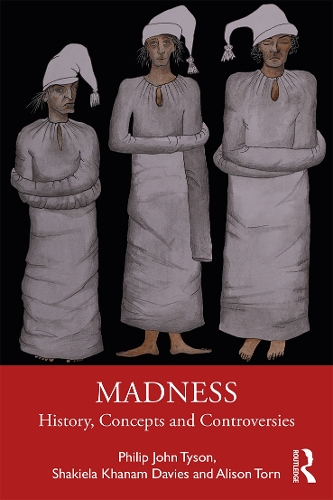 Бумажная книга «Madness: History, Concepts and Controversies», авторов Элисон Торн, Филип Тайсон, Шакила Ханам Дэвис - фото №1