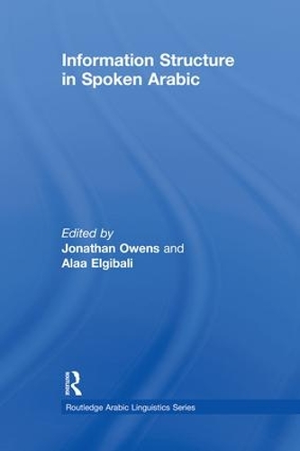 Бумажная книга «Information Structure in Spoken Arabic» - фото №1