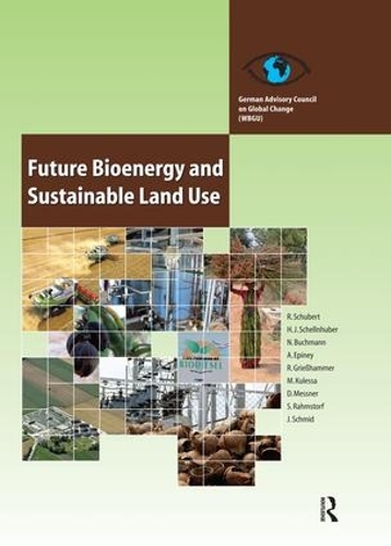 Паперова книга «Future Bioenergy and Sustainable Land Use», автор Рената Шуберт - фото №1
