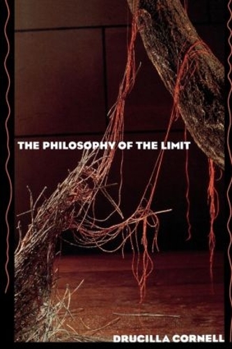 Бумажная книга «The Philosophy of the Limit», автор Уцилла Корнелл - фото №1