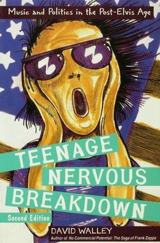 Паперова книга «Teenage Nervous Breakdown», автор Девід Воллі - фото №1