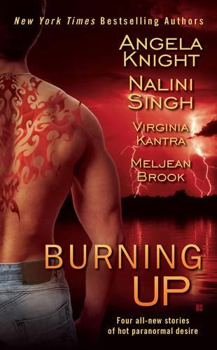 Паперова книга «Burning Up» - фото №1