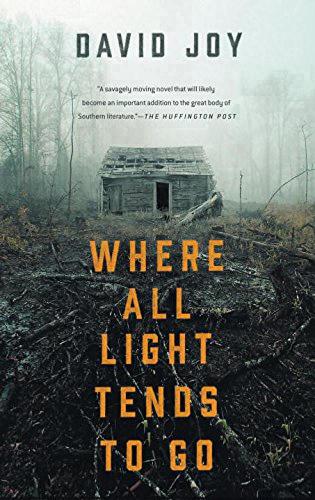 Паперова книга «Where All Light Tends To Go», автор Девід Джой - фото №1
