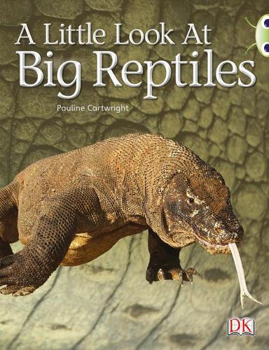 Бумажная книга «Bug Club Guided Non Fiction Year 1 Blue B A Little Look at Big Reptiles», автор Полина Картрайт - фото №1