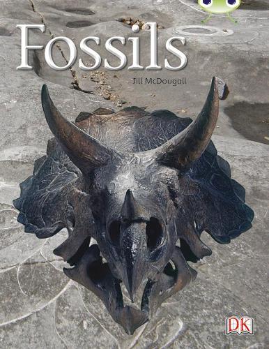 Бумажная книга «Bug Club Guided Non Fiction Year Two Gold A Fossils», автор Джилл Макдугалл - фото №1