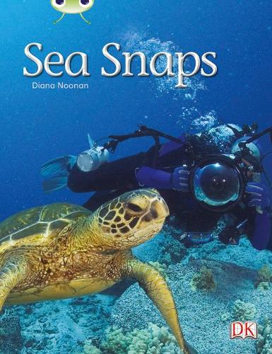 Бумажная книга «Bug Club Independent Non Fiction Year 1 Green A Sea Snaps», автор Диана Нунан - фото №1