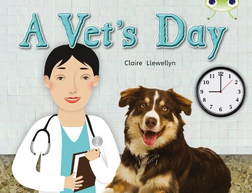 Паперова книга «Bug Club Guided Non Fiction Year 1 Green B A Vet's Day», автор Клер Левеллін - фото №1