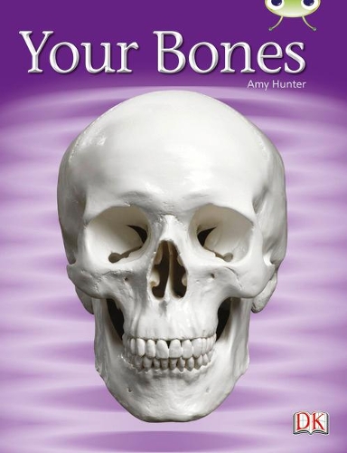 Бумажная книга «Bug Club Guided Non Fiction Year 1 Green C Your Bones», автор Эми Хантер - фото №1