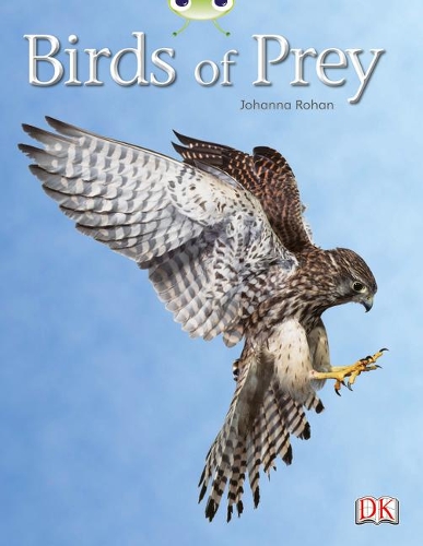 Бумажная книга «Bug Club Independent Non Fiction Year Two White A Birds of Prey», автор Йоханна Рохан - фото №1