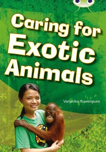 Паперова книга «Bug Club Independent Non Fiction Year Two White A Caring for Exotic Animals», автор Варуніка Руванпура - фото №1