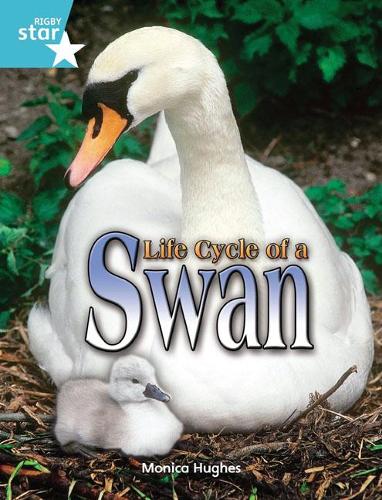 [object Object] «Rigby Star Independent Year 2 Turquoise Non Fiction Life Cycle of a Swan Single», автор Моніка Хьюз - фото №1