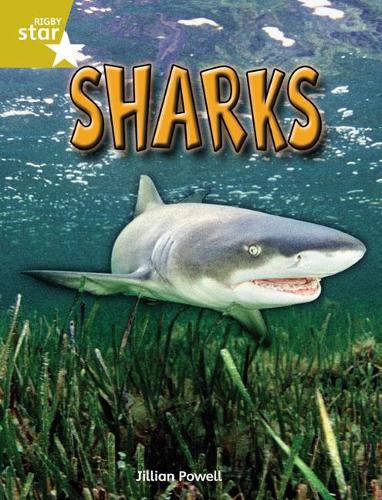 Бумажная книга «Rigby Star Independent Year 2 Gold Non Fiction Sharks Single», автор Джиллиан Пауэлл - фото №1