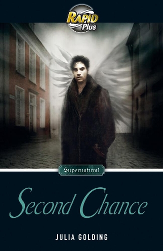 Бумажная книга «Rapid Plus 9.2 Second Chance», автор Джулия Голдинг - фото №1