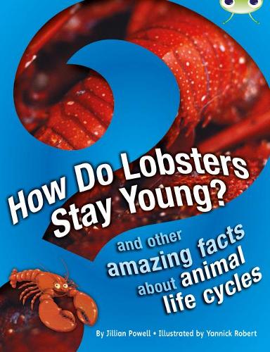 Бумажная книга «Bug Club Independent Non Fiction Year 3 Brown A How Do Lobsters Stay Young?», автор Джиллиан Пауэлл - фото №1
