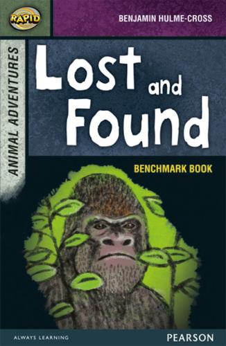 Бумажная книга «Rapid Stage 7 Assessment book: Lost and Found», автор Ди Рид - фото №1