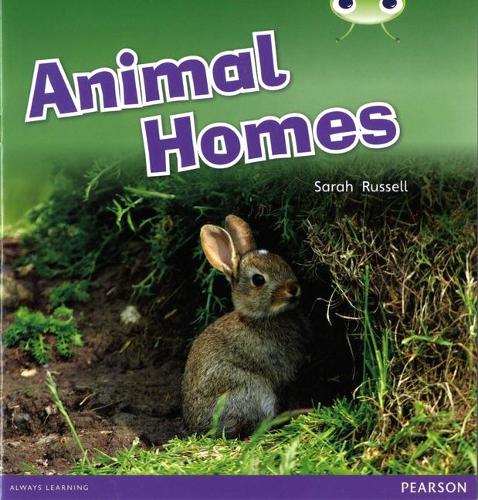 Бумажная книга «Bug Club Guided Non Fiction Reception Pink B Animal Homes», автор Сара Рассел - фото №1