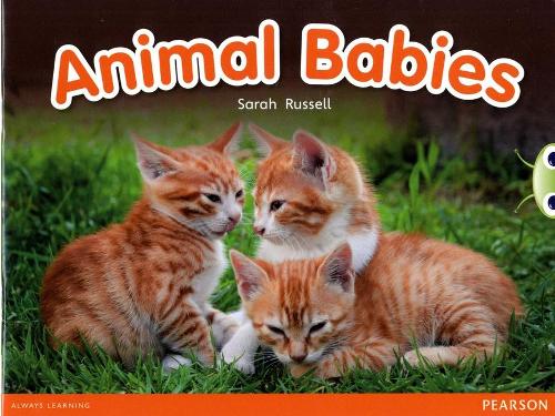 Бумажная книга «Bug Club Independent Non Fiction Reception Red B Animal Babies», автор Сара Рассел - фото №1