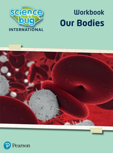 [object Object] «Science Bug: Our bodies Workbook», авторов Дэбби Эклз, Дебора Херридж - фото №1