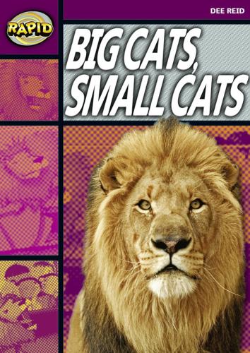 [object Object] «Rapid Reading: Big Cats Small Cats (Stage 1, Level 1A)», автор Ді Рід - фото №1