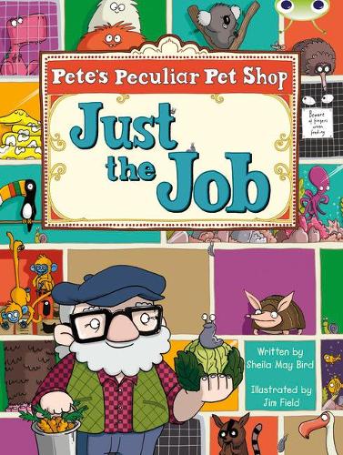 Бумажная книга «Bug Club Guided Fiction Year Two Turquoise B Pete's Peculiar Pet Shop: Just the Job», автор Шейла Бёрд - фото №1