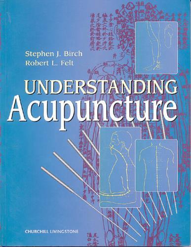 Паперова книга «Understanding Acupuncture», авторів Роберт Л. Фелт, Стівен Дж. Берч - фото №1