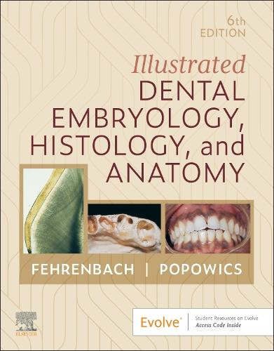 Бумажная книга «Illustrated Dental Embryology, Histology, and Anatomy», авторов Маргарет Дж. Фехренбах, Трейси Попович - фото №1