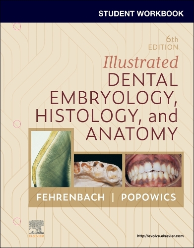 Бумажная книга «Student Workbook for Illustrated Dental Embryology, Histology and Anatomy», автор Маргарет Дж. Фехренбах - фото №1