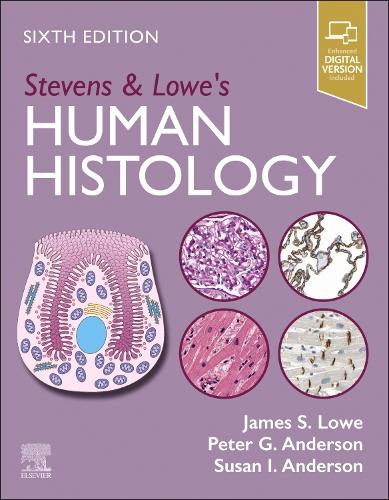 Бумажная книга «Stevens & Lowe's Human Histology», авторов Джеймс С. Лоу, Питер Г. Андерсон, Сьюзен И. Андерсон - фото №1