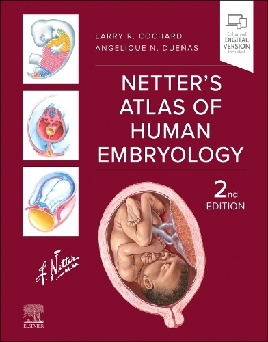 Бумажная книга «Netter's Atlas of Human Embryology», авторов Анжелика Н. Дуэньяс, Ларри Р. Кочард - фото №1