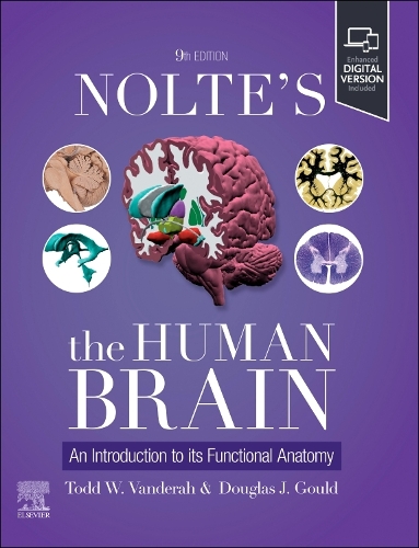 Бумажная книга «Nolte's The Human Brain: An Introduction to its Functional Anatomy», авторов Дуглас Дж. Гулд, Тодд В. Вандерах - фото №1
