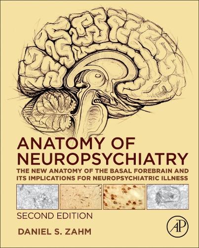 Бумажная книга «Anatomy of Neuropsychiatry: The New Anatomy of the Basal Forebrain and Its Implications for Neuropsychiatric Illness», автор Дэниел С. Зам - фото №1