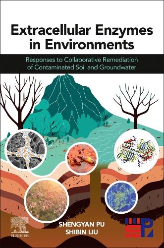 Бумажная книга «Extracellular Enzymes in Environments: Responses to Collaborative Remediation of Contaminated Soil and Groundwater», авторов Шэнъян Пу, Шибин Лю - фото №1