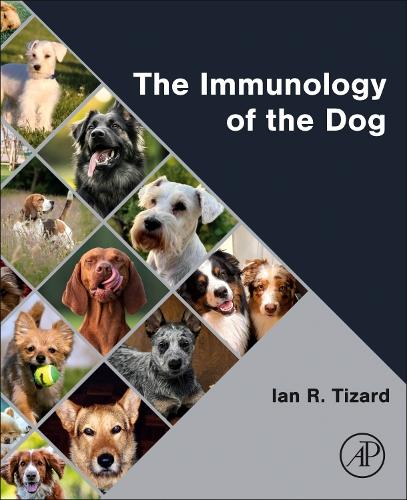 Паперова книга «The Immunology of the Dog», автор Ієн Р. Тізард - фото №1