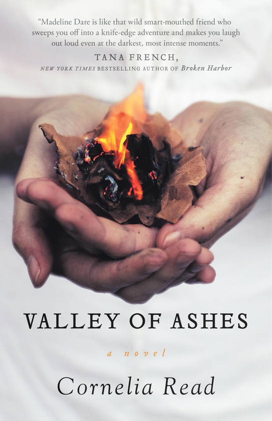 Бумажная книга «Valley of Ashes. Book 4», автор Корнелия Рид - фото №1