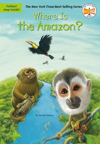 Паперова книга «Where Is the Amazon?», автор Сара Фабіні - фото №1