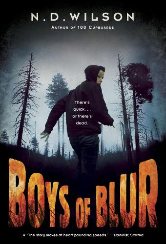 Паперова книга «Boys of Blur», автор Н. Д. Вілсон - фото №1