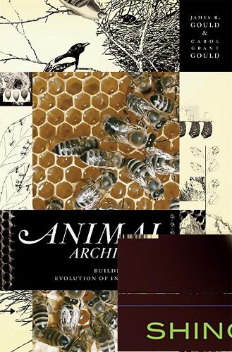 Бумажная книга «Animal Architects: Building and the Evolution of Intelligence», авторов Кэрол Гулд, Джеймс Л. Гулд - фото №1
