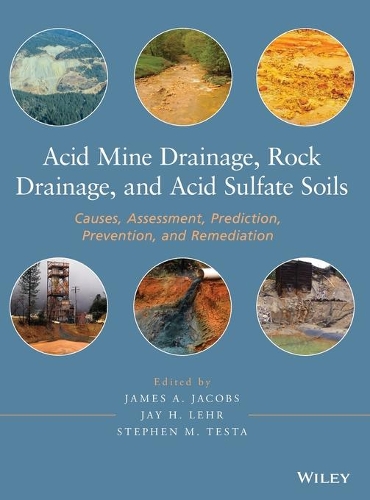 [object Object] «Acid Mine Drainage, Rock Drainage, and Acid Sulfate Soils: Causes, Assessment, Prediction, Prevention, and Remediation», авторов Джеймс А. Джейкобс, Джей Х. Лер, Стивен М. Теста - фото №1
