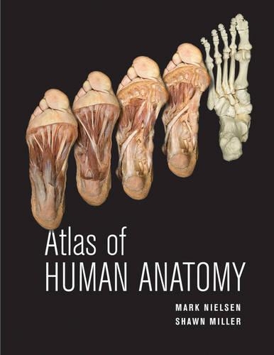 Паперова книга «Atlas of Human Anatomy», авторів Марк Нільсен, Шон Д. Міллер - фото №1