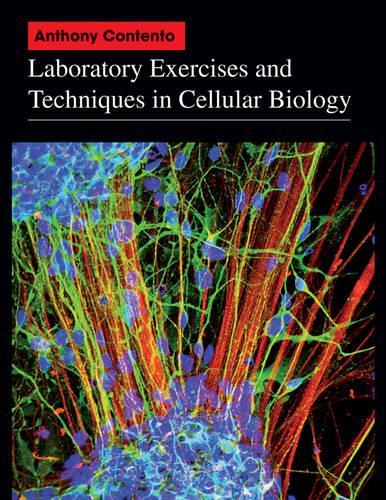 Бумажная книга «Laboratory Exercises and Techniques in Cellular Biology», автор Энтони Контенто - фото №1