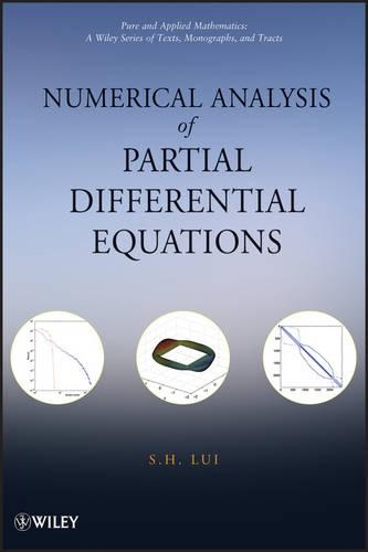 Бумажная книга «Numerical Analysis of Partial Differential Equations», автор С. Х. Луи - фото №1