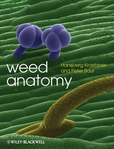 Паперова книга «Weed Anatomy», авторів Гансйорг Кремер, Пітер Баур - фото №1