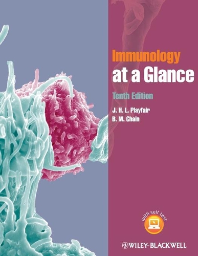 Бумажная книга «Immunology at a Glance», авторов Б. M. Чейн, Дж. Х. Л. Плейфэйр - фото №1