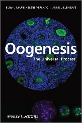 Паперова книга «Oogenesis: The Universal Process», авторів Енн Віленьов, Марі-Елен Верлак - фото №1